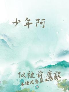 少年阿