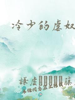 冷少的虐奴