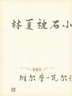 林夏被石小猛