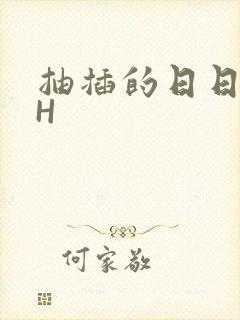 抽插的日日液液H