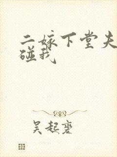 二嫁下堂夫君别碰我
