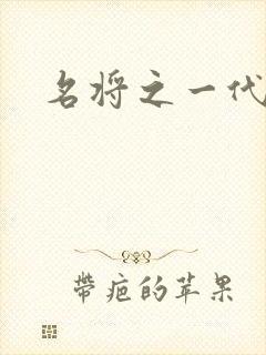 名将之一代天骄