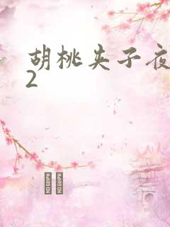 胡桃夹子夜未眠2