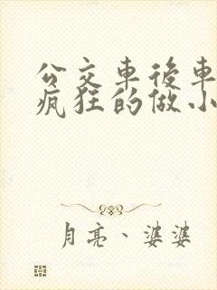 公交车后车座的疯狂的做小