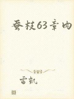 蚕枝63章肉