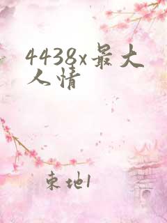 4438x最大人情