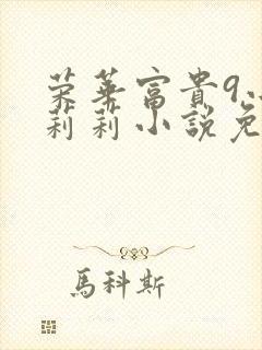 荣华富贵9小王莉莉小说免费阅读