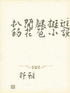 扒开腿挺进湿润的花苞小说