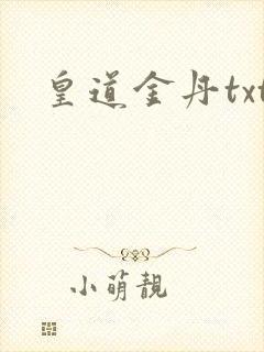皇道金丹txt
