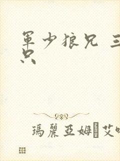 军少狼兄 三两只