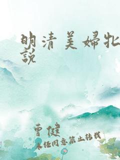 明清美妇牝户小说