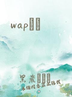 wapС˵