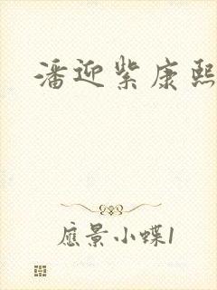 潘迎紫康熙来了