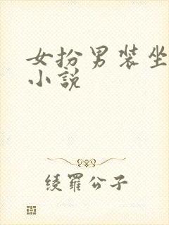 女扮男装坐江山小说