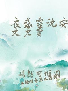 夜盛霆沈安然全文免费