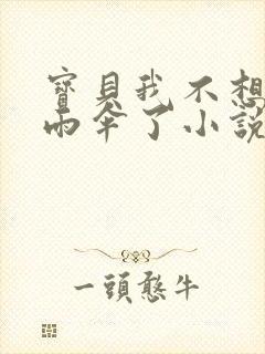 宝贝我不想带小雨伞了小说