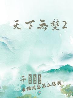 天下无双2