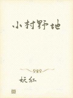 小村野地