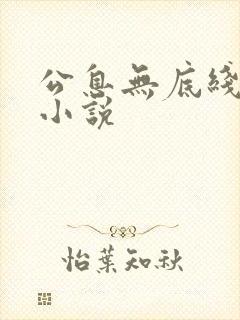 公息无底线的爱小说