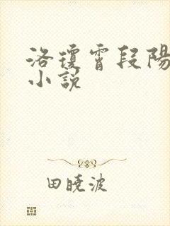 洛琼霄段阳澍的小说