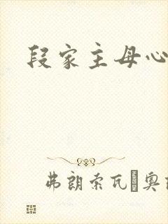 段家主母心太狠