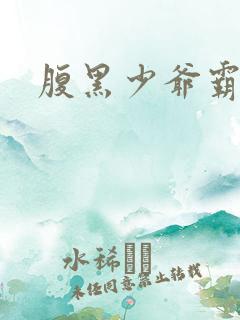 腹黑少爷霸道爱