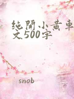 纯开小黄车小短文500字