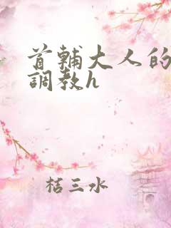 首辅大人的花式调教h