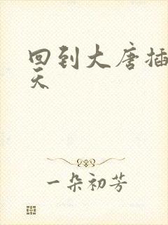 回到大唐插武则天