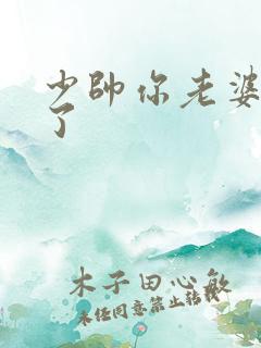 少帅你老婆又跑了