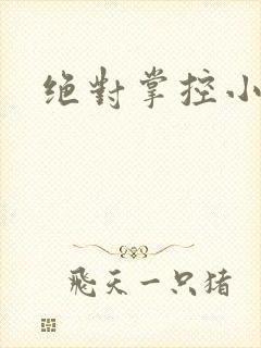 绝对掌控小说