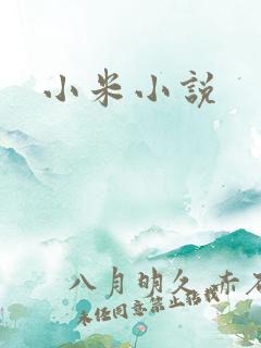 小米小说