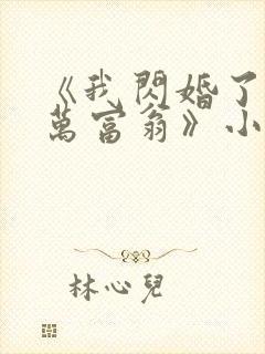 《我闪婚了个亿万富翁》小说