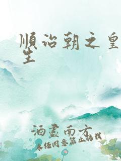 顺治朝之皇后重生