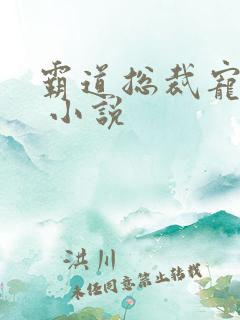 霸道总裁宠上天 小说