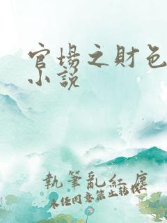 官场之财色诱人小说