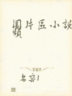 图片区小说区视频