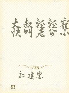 大叔轻轻宠宝贝快叫老公小说