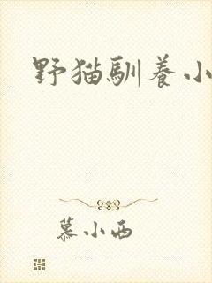 野猫驯养小说
