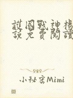 护国战神杨风小说免费阅读