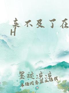 来不及了在车CH