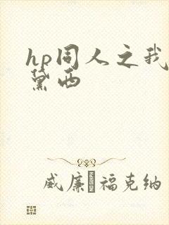 hp同人之我叫黛西