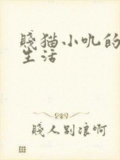 贱猫小叽的幸福生活