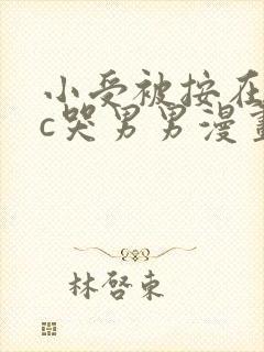 小受被按在墙上c哭男男漫画