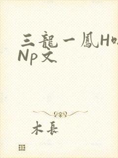三龙一凤H啪肉Np文