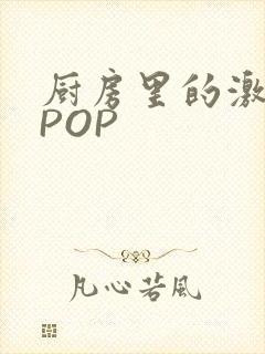 厨房里的激战2POP