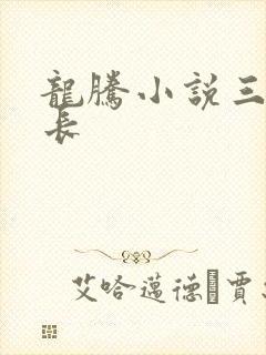 龙腾小说三宝局长