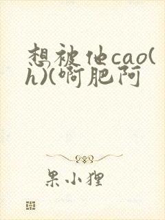 想被他cao(h)(啊肥阿