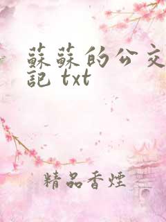 苏苏的公交车日记 txt