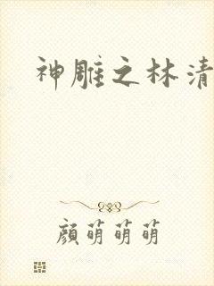 神雕之林清传